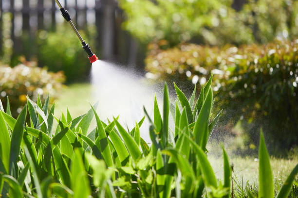24/7 Emergency Mosquito Control experts in Paintsville, KY